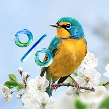 Скидки до 20% на запуск сайта